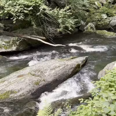 Gunpowder Falls Trailhead - Parkton, MD