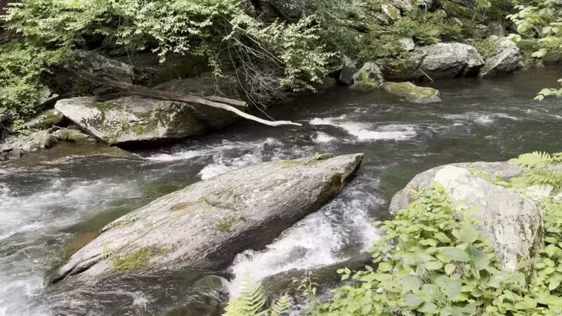 Gunpowder Falls Trailhead - Parkton, MD