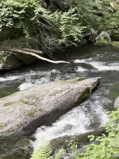 Gunpowder Falls Trailhead - Parkton, MD