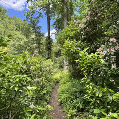 Gunpowder Falls Trailhead - Parkton, MD