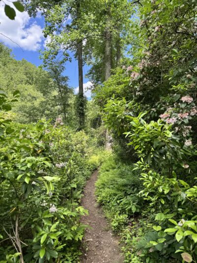 Gunpowder Falls Trailhead - Parkton, MD