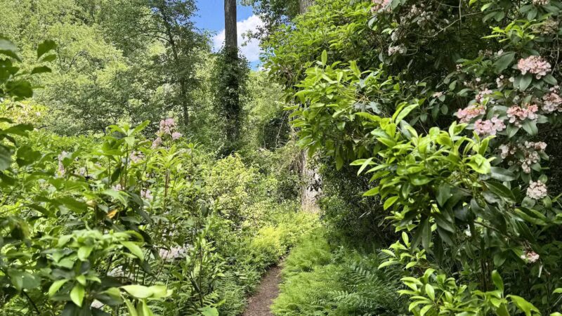 Gunpowder Falls Trailhead - Parkton, MD