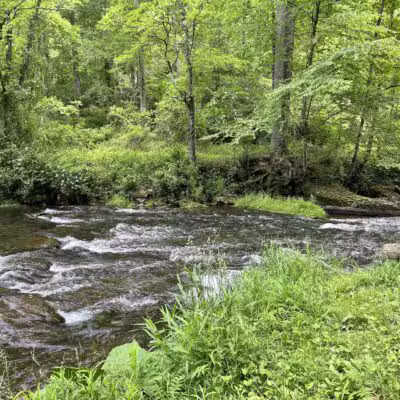 Gunpowder Falls Trailhead - Parkton, MD