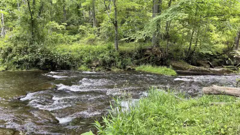 Gunpowder Falls Trailhead - Parkton, MD