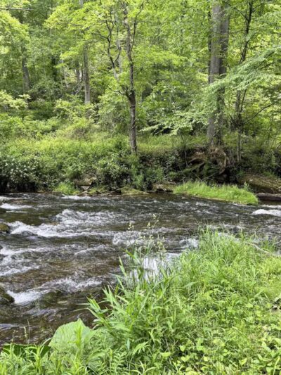 Gunpowder Falls Trailhead - Parkton, MD