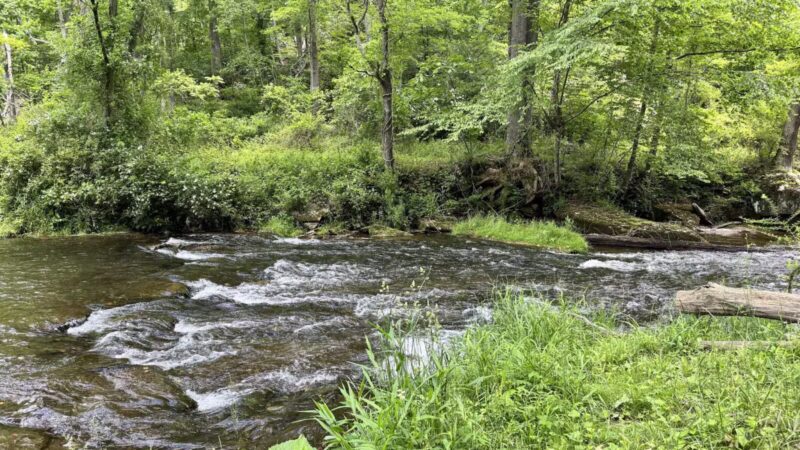 Gunpowder Falls Trailhead - Parkton, MD