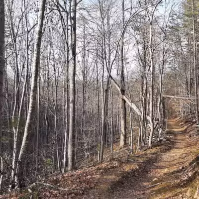 Gunpowder State Park Trails Mt Carmel Rd - Parkton, MD