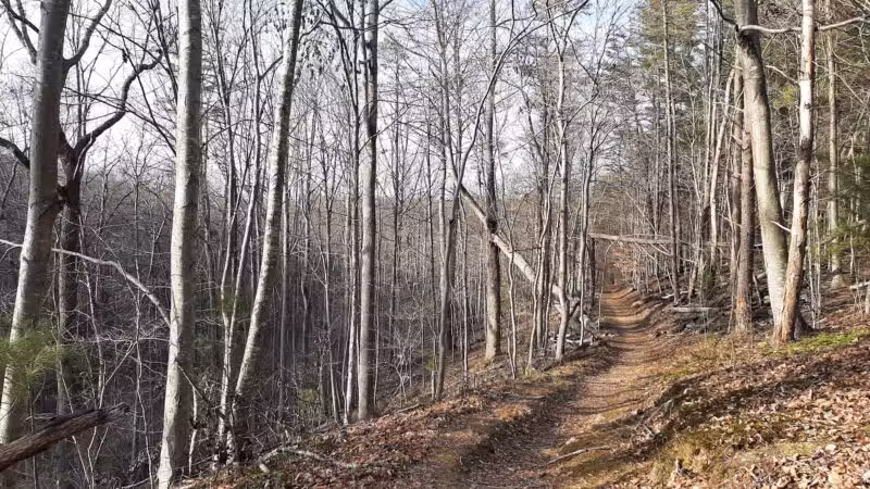 Gunpowder State Park Trails Mt Carmel Rd - Parkton, MD