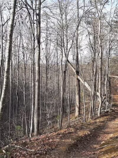 Gunpowder State Park Trails Mt Carmel Rd - Parkton, MD