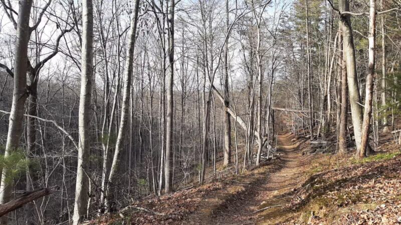 Gunpowder State Park Trails Mt Carmel Rd - Parkton, MD