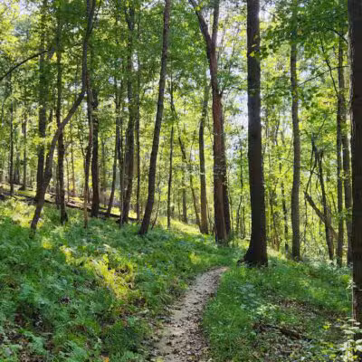 Gunpowder State Park Trails Mt Carmel Rd - Parkton, MD