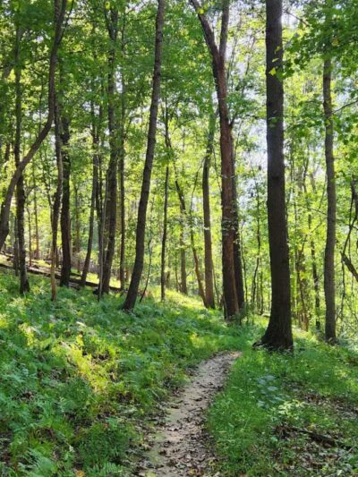 Gunpowder State Park Trails Mt Carmel Rd - Parkton, MD