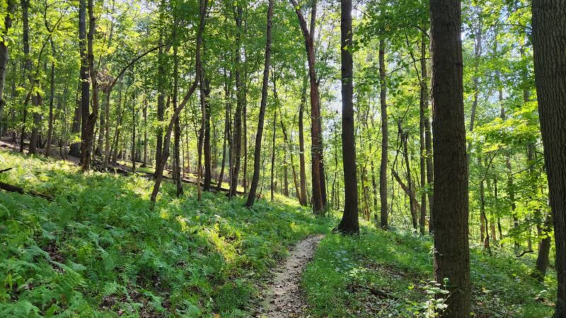 Gunpowder State Park Trails Mt Carmel Rd - Parkton, MD