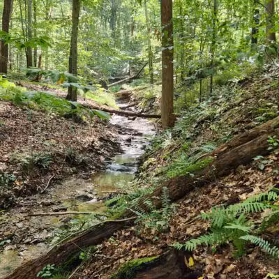 Gunpowder State Park Trails Mt Carmel Rd - Parkton, MD