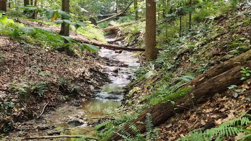 Gunpowder State Park Trails Mt Carmel Rd - Parkton, MD