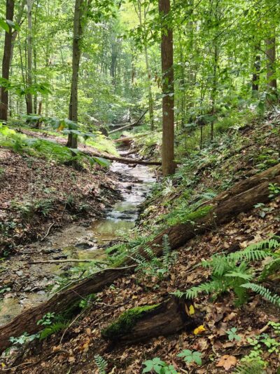 Gunpowder State Park Trails Mt Carmel Rd - Parkton, MD