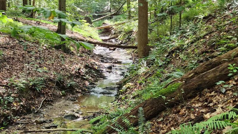 Gunpowder State Park Trails Mt Carmel Rd - Parkton, MD