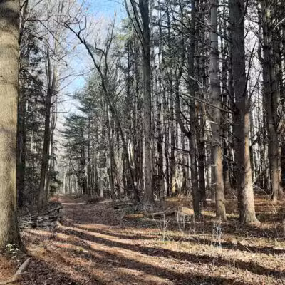 Gunpowder State Park Trails Mt Carmel Rd - Parkton, MD