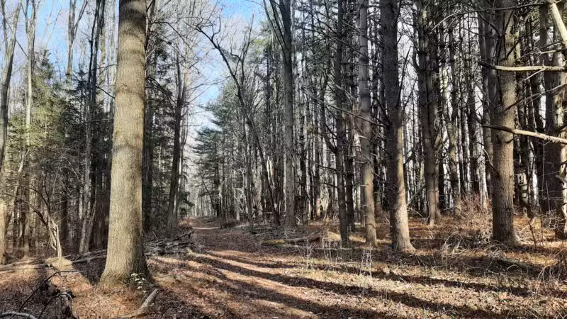 Gunpowder State Park Trails Mt Carmel Rd - Parkton, MD