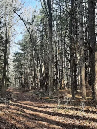 Gunpowder State Park Trails Mt Carmel Rd - Parkton, MD