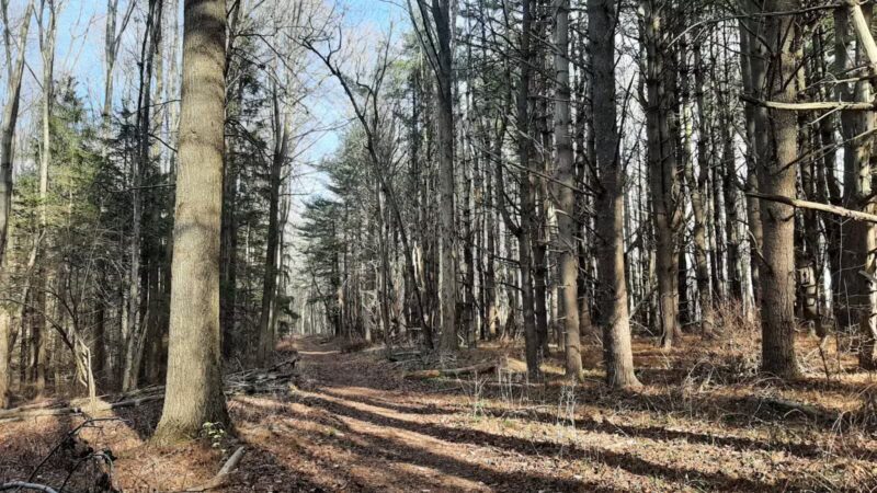 Gunpowder State Park Trails Mt Carmel Rd - Parkton, MD