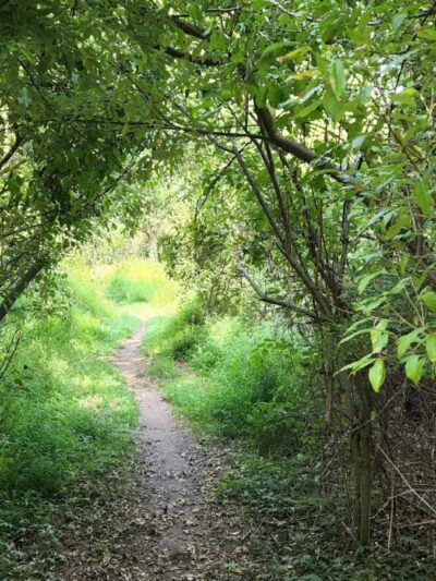 Gunpowder State Park Trails Mt Carmel Rd - Parkton, MD