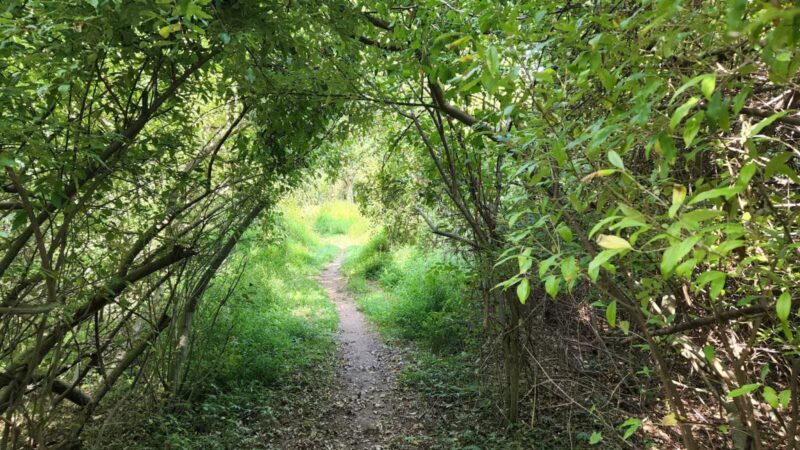 Gunpowder State Park Trails Mt Carmel Rd - Parkton, MD