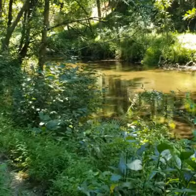 Masemore Water Trail - Parkton, MD