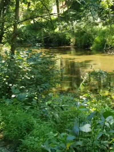 Masemore Water Trail - Parkton, MD