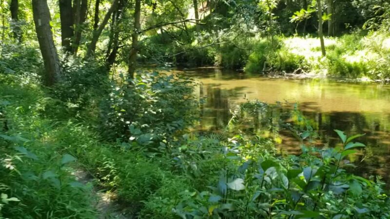 Masemore Water Trail - Parkton, MD