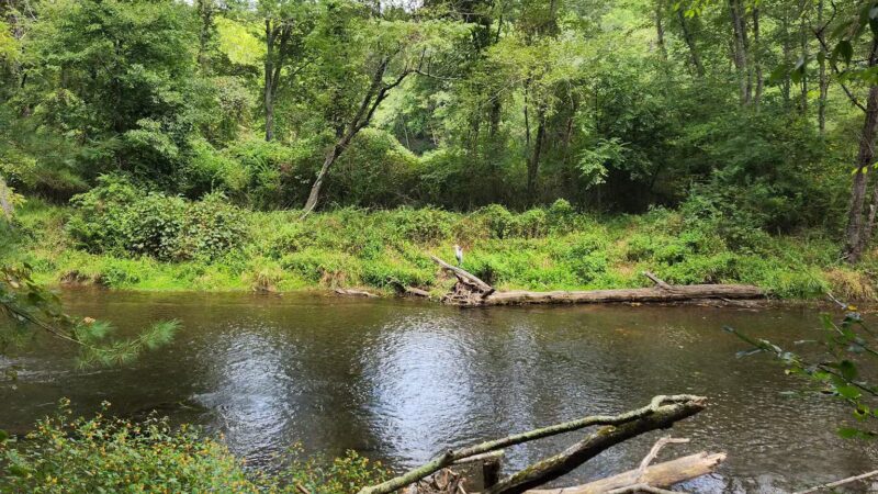 Masemore Water Trail - Parkton, MD