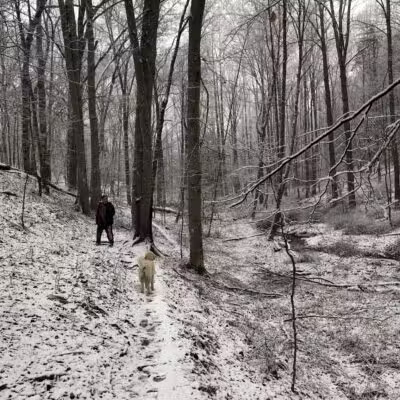 Mingo Forks Trail - Parkton, MD
