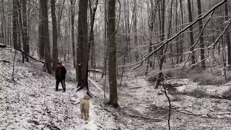 Mingo Forks Trail - Parkton, MD