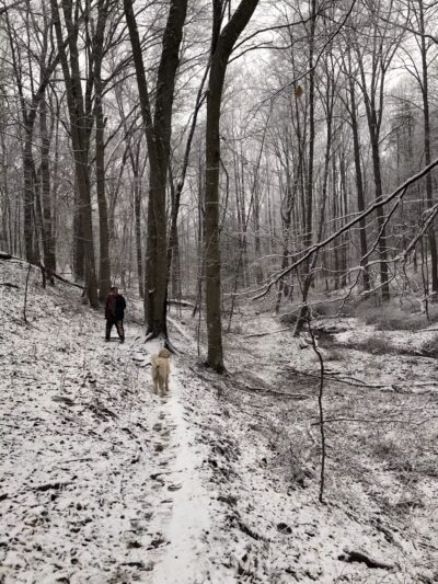 Mingo Forks Trail - Parkton, MD