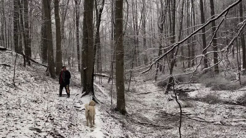 Mingo Forks Trail - Parkton, MD