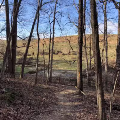 Mingo Forks Trail - Parkton, MD
