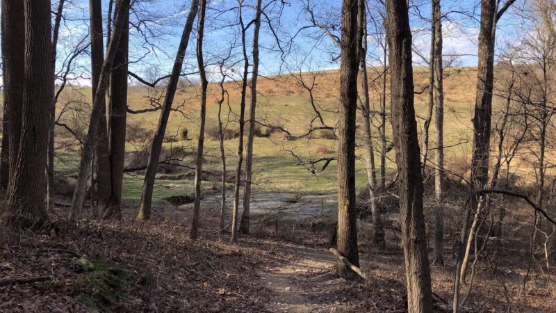 Mingo Forks Trail - Parkton, MD