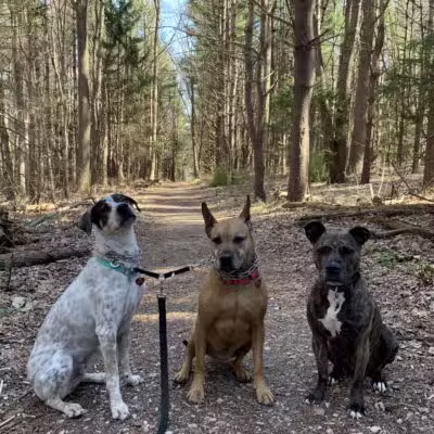 Mingo Forks Trail - Parkton, MD
