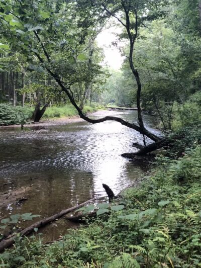 Mingo Forks Trail - Parkton, MD