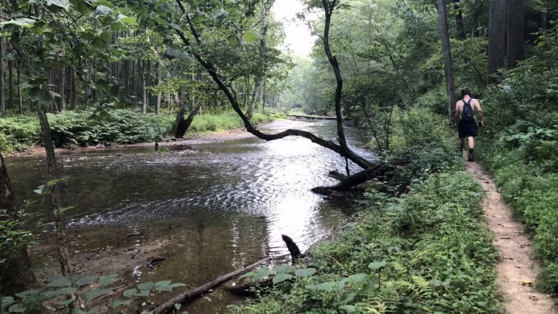 Mingo Forks Trail - Parkton, MD