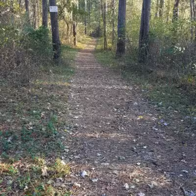Prettyboy Hiking Trail - Parkton, MD