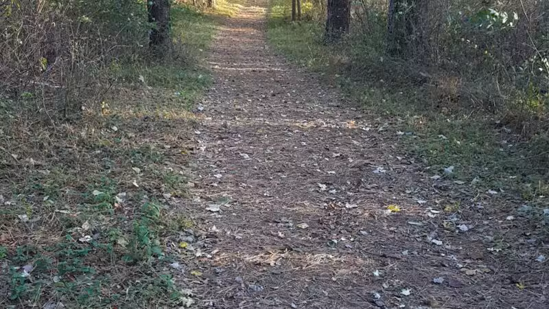 Prettyboy Hiking Trail - Parkton, MD