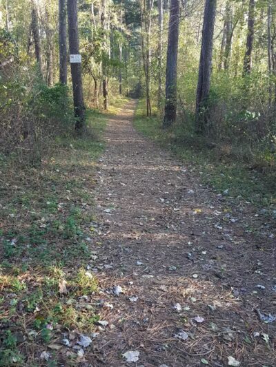 Prettyboy Hiking Trail - Parkton, MD