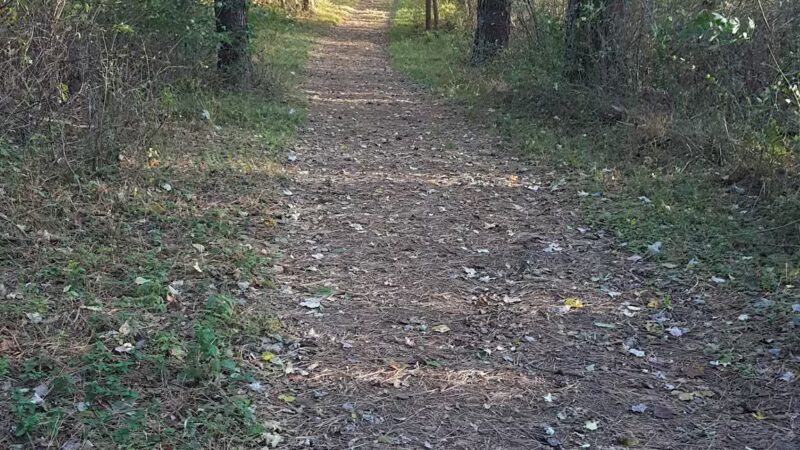 Prettyboy Hiking Trail - Parkton, MD