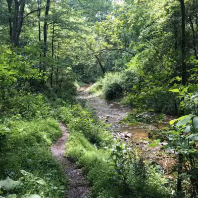 Prettyboy Hiking Trail - Parkton, MD