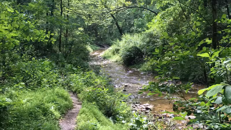 Prettyboy Hiking Trail - Parkton, MD