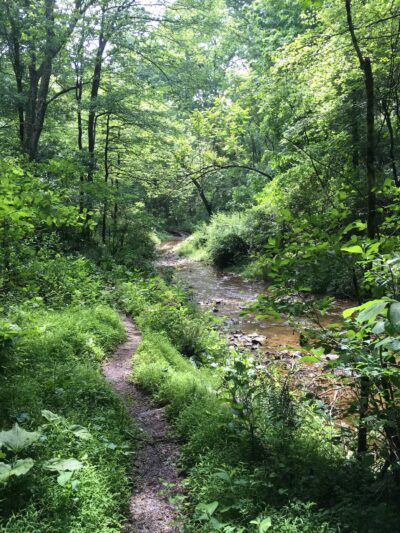Prettyboy Hiking Trail - Parkton, MD