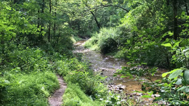 Prettyboy Hiking Trail - Parkton, MD