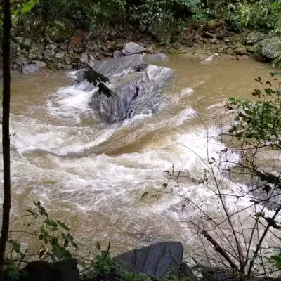 Torrey C. Brown Rail Trail - Parkton, MD