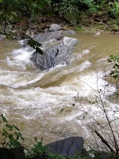 Torrey C. Brown Rail Trail - Parkton, MD